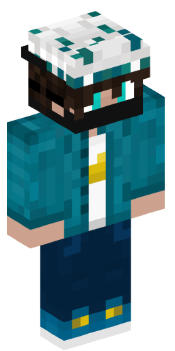 Minecraft Skin #205174