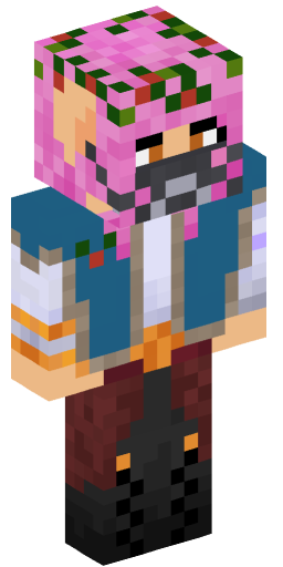 Minecraft Skin #205185