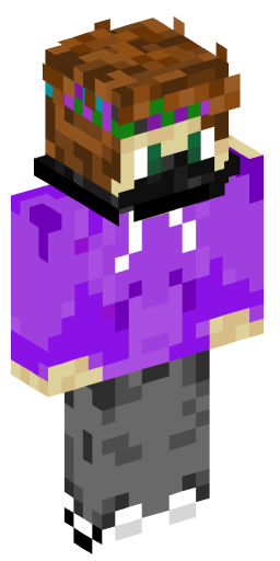 Minecraft Skin #205246