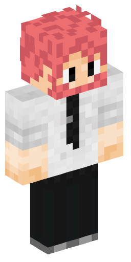 Minecraft Skin #205283