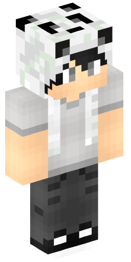 Minecraft Skin #205338