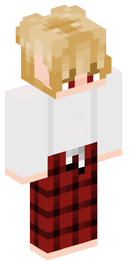 Minecraft Skin #205351