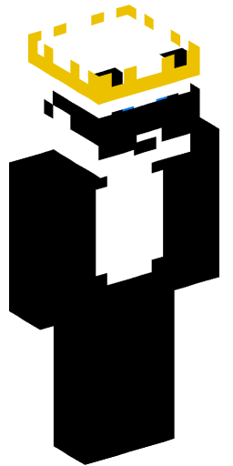 Minecraft Skin #205376