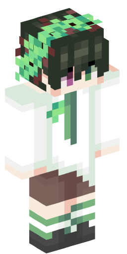 Minecraft Skin #205379