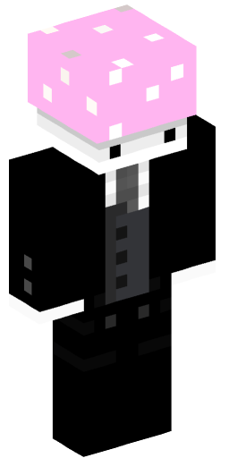 Minecraft Skin #205443