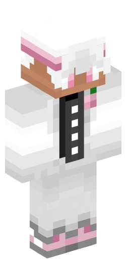 Minecraft Skin #205519