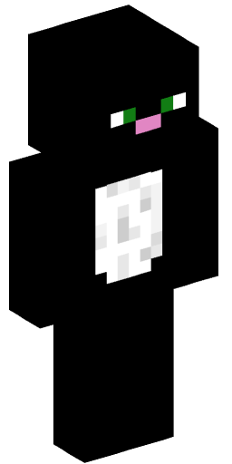 Minecraft Skin #205628