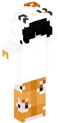 Minecraft Skin #205651