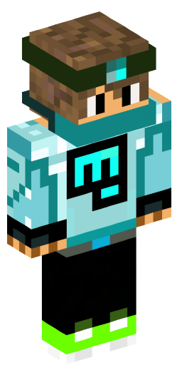 Minecraft Skin #205713