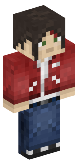 Minecraft Skin #205829