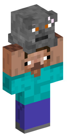 Minecraft Skin #205892
