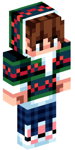 Minecraft Skin #205897