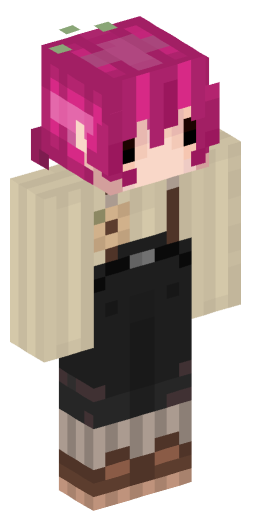 Minecraft Skin #205903