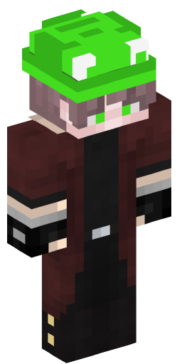 Minecraft Skin #205919