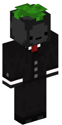 Minecraft Skin #205965