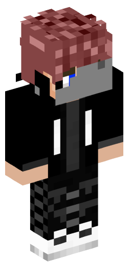 Minecraft Skin #206118