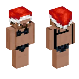 Minecraft Skin #206298