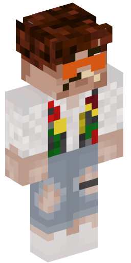 Minecraft Skin #206338