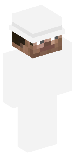 Minecraft Skin #206353