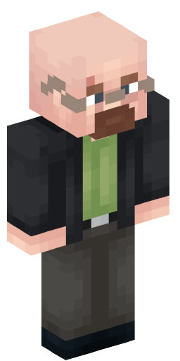 Minecraft Skin #206411