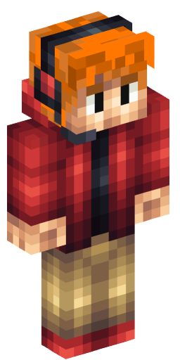 Minecraft Skin #206416