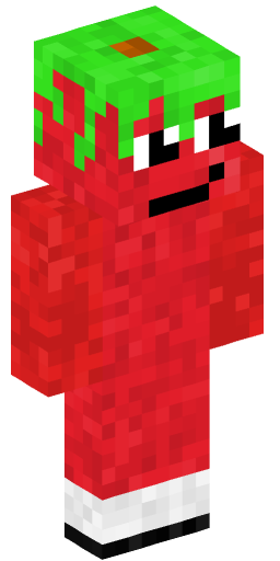 Minecraft Skin #206524