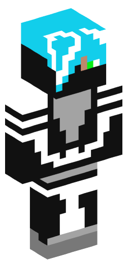 Minecraft Skin #206605