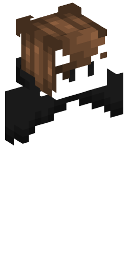 Minecraft Skin #206608
