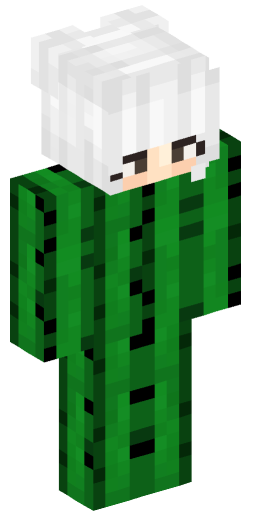 Minecraft Skin #206685