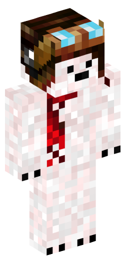 Minecraft Skin #206761