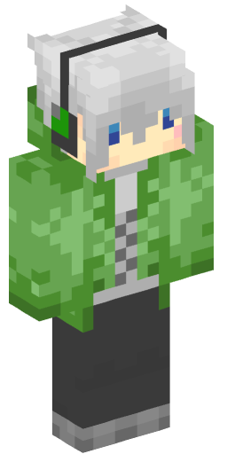 Minecraft Skin #206862
