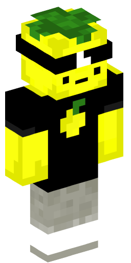 Minecraft Skin #207452