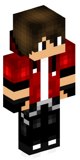 Minecraft Skin #207560