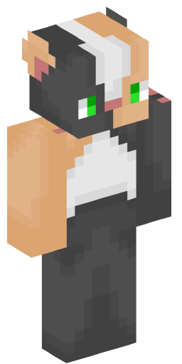 Minecraft Skin #208144