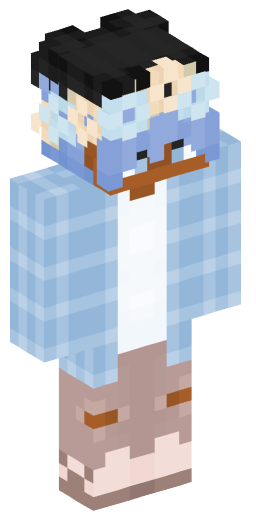 Minecraft Skin #208351