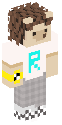 Minecraft Skin #208593