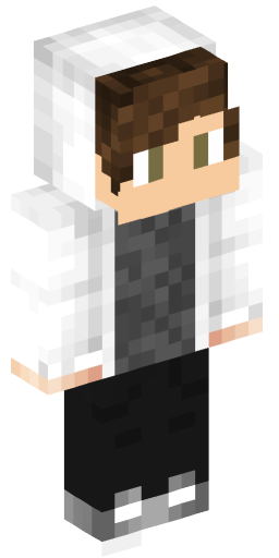 Minecraft Skin #208663