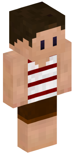 Minecraft Skin #208702