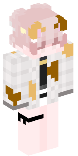 Minecraft Skin #208742