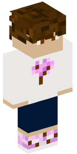 Minecraft Skin #209417