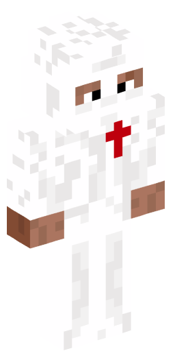 Minecraft Skin #209521