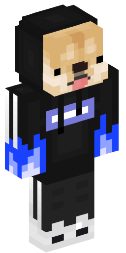 Minecraft Skin #210579