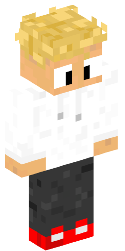 Minecraft Skin #210871