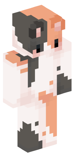 Minecraft Skin #210936