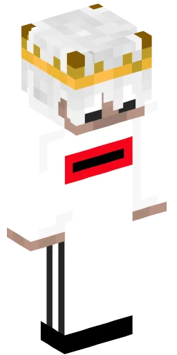 Minecraft Skin #210964