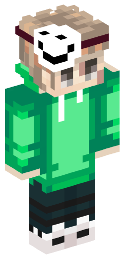 Minecraft Skin #210979