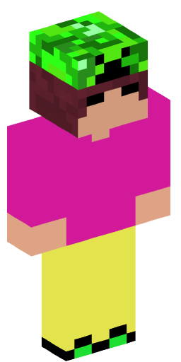 Minecraft Skin #211030