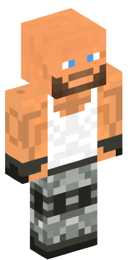 Minecraft Skin #211213