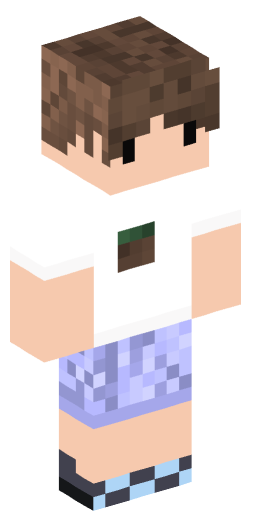 Minecraft Skin #211216