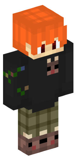 Minecraft Skin #211471